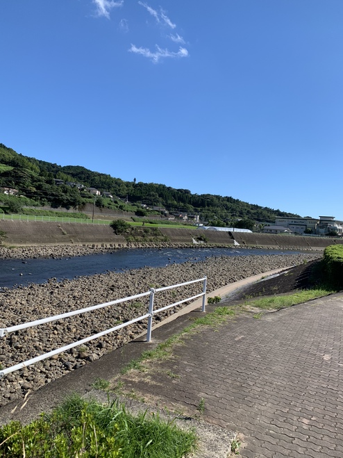 久々にモンキーで、川見 久々にモンキーで、川見