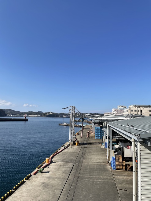 松浦に墓掃除の帰りに瀬戸市場へ 松浦に墓掃除の帰りに瀬戸市場へ