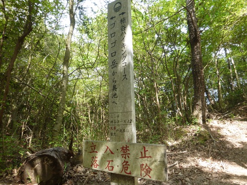 六甲山ハイク(ゴロゴロ岳)