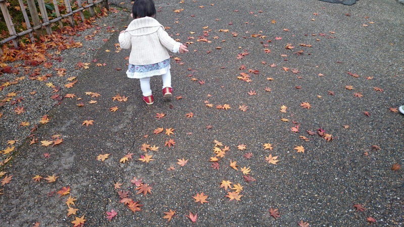 奈良の長谷寺に紅葉を見に行ってきた