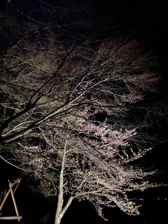 4月16-17日 木崎湖湖畔にて,,, 4月16-17日 木崎湖湖畔にて,,,