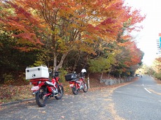 ハンターカブで小豆島へ紅葉を見に行きました(^^)