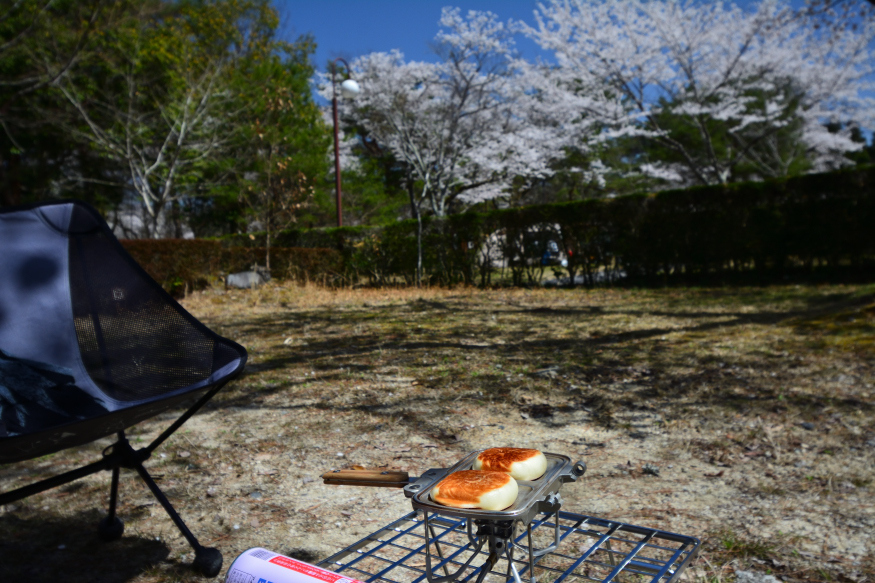 福岡ローマンキャンプ場　満開の桜の下ソロキャンを楽しむ