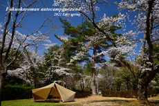 福岡ローマンキャンプ場　満開の桜の下ソロキャンを楽しむ