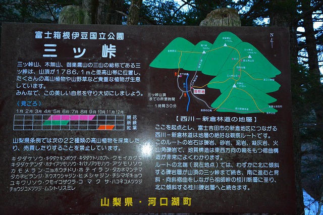 富士山を見ながら・・・ 富士山を見ながら・・・