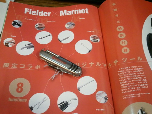 Fielder×Marmot