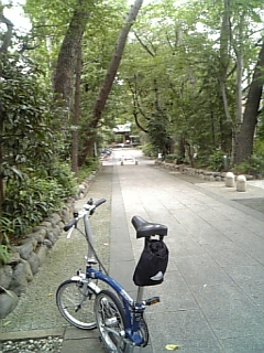 更に涼しい・・・