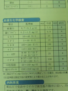 スポーツをやる人のための人間ドック