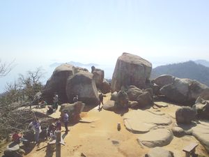 家族修学旅行in宮島