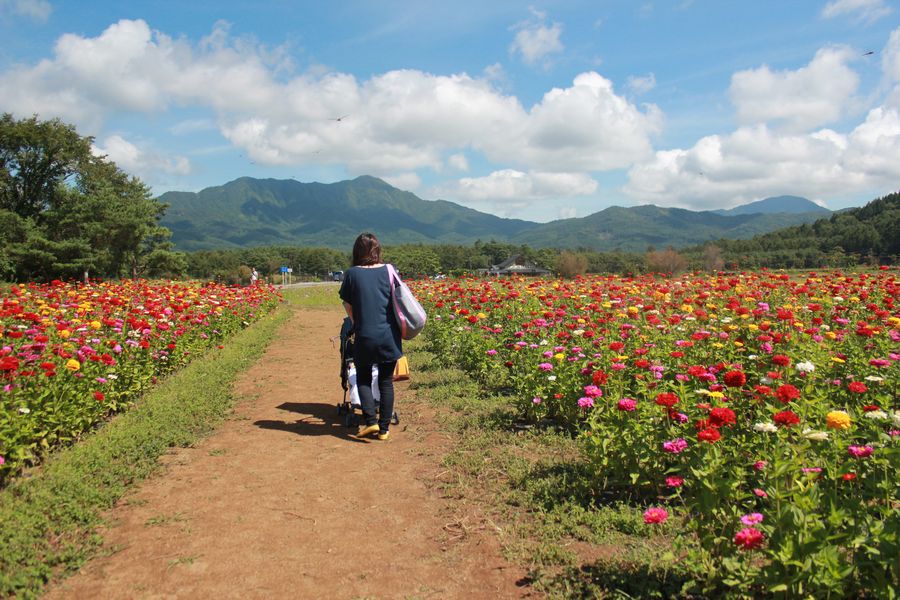 お散歩 花の都公園♪