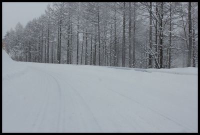 雪遊び大作戦 ①