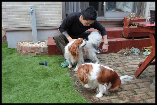行ったつもりのDAYキャンプ♪ & DIY~ぉ庭の水道~