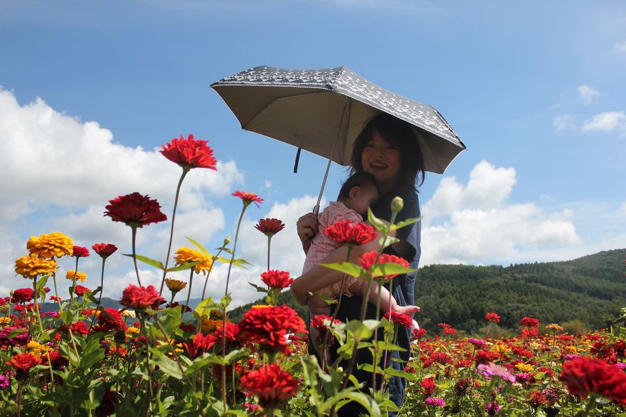 お散歩 花の都公園♪