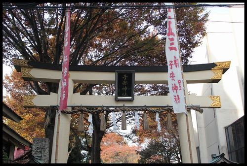 子安神社 ~安産祈願~