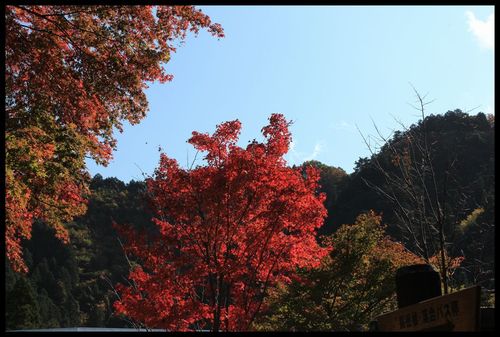 足湯to紅葉de焼き鳥