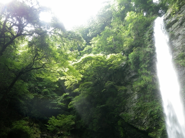 明神滝までを往復