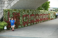 ’09年秋の備北丘陵公園