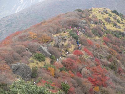 連休初日(11/2)