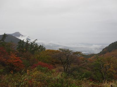 次回こそは・・・