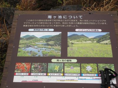 次回こそは・・・