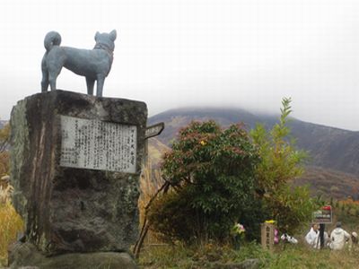 次回こそは・・・