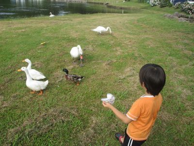 連休はしごキャンプ 志高湖~さくら