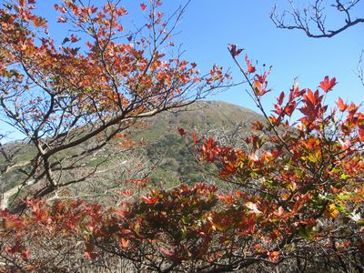 紅葉ハイク♪♪