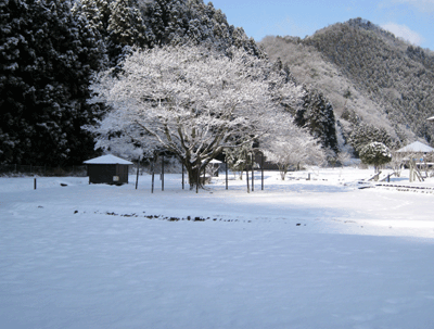 南光自然観察村にて