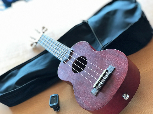 ウクレレを独学で学んだら簡単だった、曲も弾けてキャンプで演奏できた ウクレレを独学で学んだら簡単だった、曲も弾けてキャンプで演奏できた