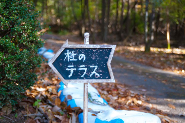 杜のテラス。おっキャン3回目は手際よいキャンプでした。 パート1 杜のテラス。おっキャン3回目は手際よいキャンプでした。 パート1