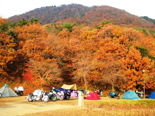 【B計画・秋】マキノ高原キャンプレポート（12月1日）