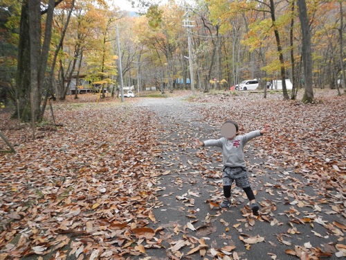 落ち葉の絨毯と直火の共演　in　奥琵琶湖オートキャンプ場