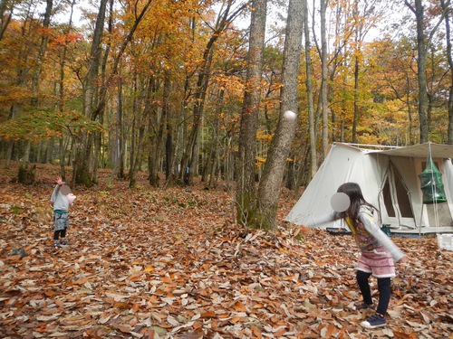 落ち葉の絨毯と直火の共演　in　奥琵琶湖オートキャンプ場