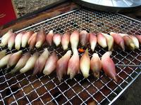 秋ヶ瀬公園