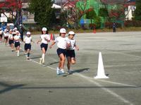3年牝馬