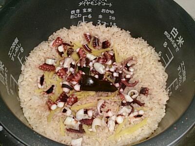 タコとイカの季節。。もうすぐか?