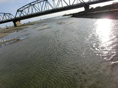 12月の吉野川は冷たいです・・・ 12月の吉野川は冷たいです・・・