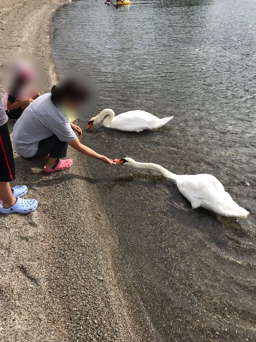 洞爺湖曙公園キャンプ場で一泊 洞爺湖曙公園キャンプ場で一泊