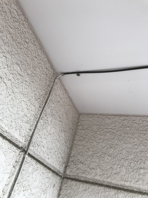 蜂の巣をつついたような騒ぎ\(//∇//)\ 蜂の巣をつついたような騒ぎ\(//∇//)\