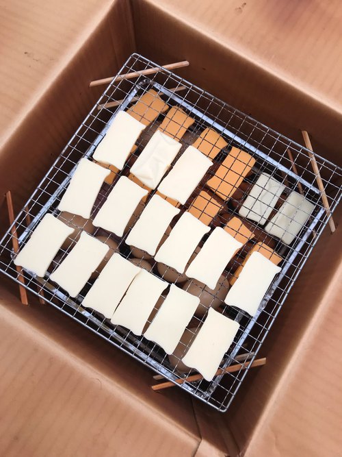 ラストサマーフェスティバル ラストサマーフェスティバル