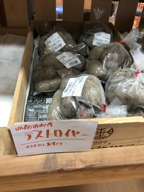洞爺湖曙公園キャンプ場で一泊 洞爺湖曙公園キャンプ場で一泊