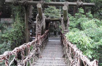 祖谷かずら橋