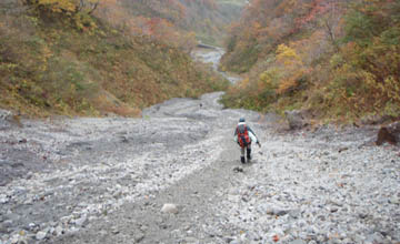 ユートピア泊(大山)