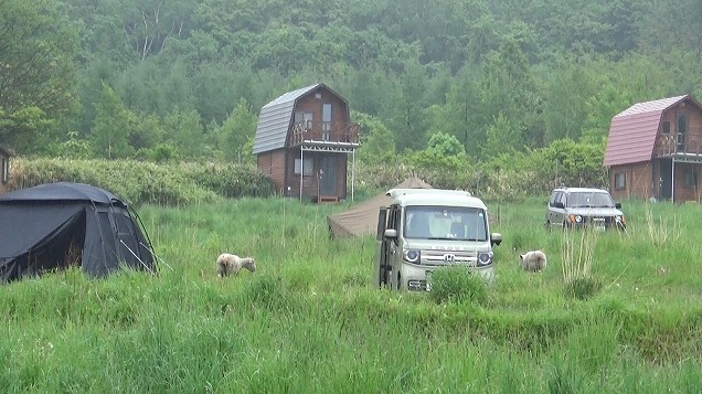 無給で働く もふもふスタッフ 無給で働く もふもふスタッフ