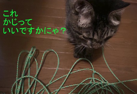 雪中キャンプ用に 竹ペグを 作ってみました♪ 雪中キャンプ用に 竹ペグを 作ってみました♪
