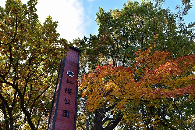 紅葉を眺めながら 焚き火をしたくて・・ 紅葉を眺めながら 焚き火をしたくて・・