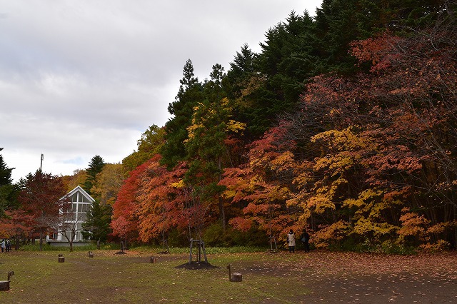 紅葉を眺めながら 焚き火をしたくて・・ 紅葉を眺めながら 焚き火をしたくて・・