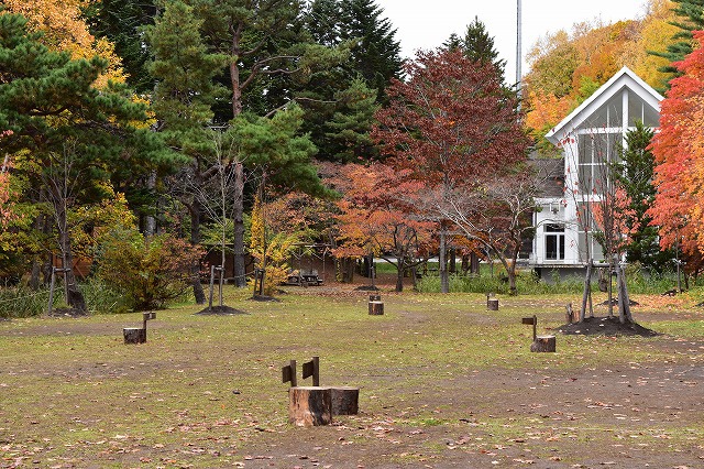 紅葉を眺めながら 焚き火をしたくて・・ 紅葉を眺めながら 焚き火をしたくて・・