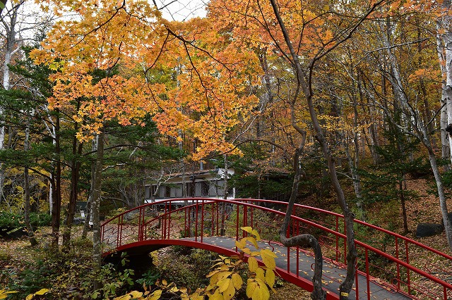 紅葉を眺めながら 焚き火をしたくて・・ 紅葉を眺めながら 焚き火をしたくて・・