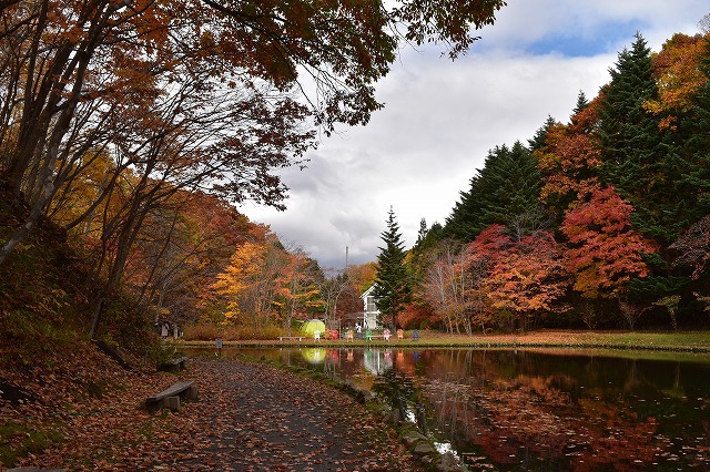 紅葉を眺めながら 焚き火をしたくて・・ 紅葉を眺めながら 焚き火をしたくて・・
